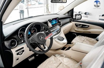 Mercedes-Benz V250 2022 - Xe nhập khẩu 7 chỗ