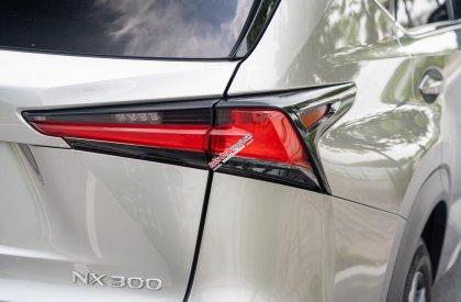 Lexus NX 300 2020 - Cần bán xe odo 1,9 vạn km
