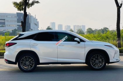 Lexus RX 300 2018 - Lexus RX 300 2018