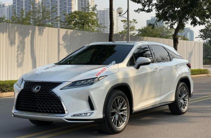 Lexus RX 300 2018 - Lexus RX 300 2018