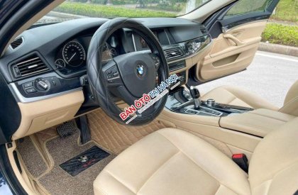 BMW 520i 2015 - 1 tỷ 080 triệu