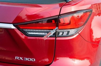 Lexus RX 300 2020 - Xe màu đỏ