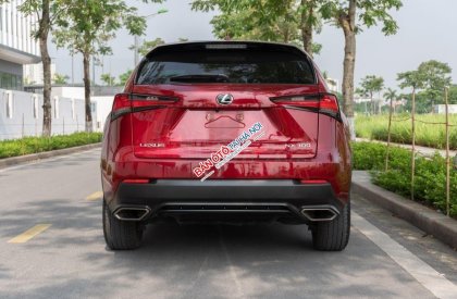 Lexus NX 300 2018 - Một chủ sử dụng từ mới