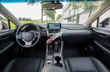 Lexus NX 300 2018 - Một chủ sử dụng từ mới