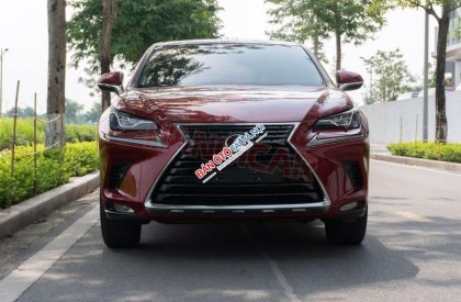 Lexus NX 300 2018 - Một chủ sử dụng từ mới