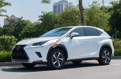 Lexus NX 300 2017 - Xe màu trắng