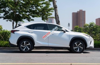 Lexus NX 300 2017 - Xe màu trắng