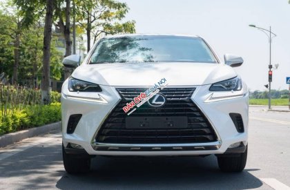 Lexus NX 300 2017 - Xe màu trắng