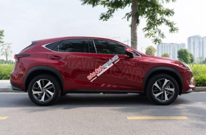 Lexus NX 300 2018 - Một chủ sử dụng từ mới