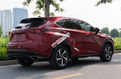 Lexus NX 300 2018 - Một chủ sử dụng từ mới