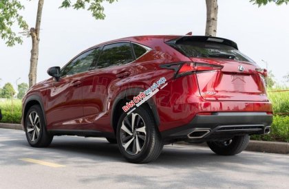 Lexus NX 300 2018 - Một chủ sử dụng từ mới