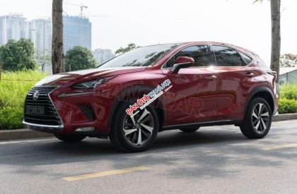 Lexus NX 300 2018 - Một chủ sử dụng từ mới