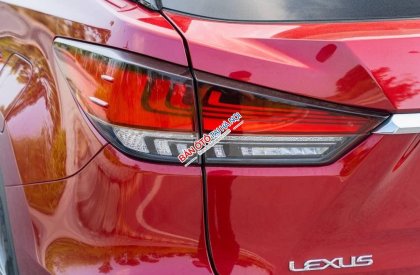 Lexus RX 300 2020 - Xe màu đỏ