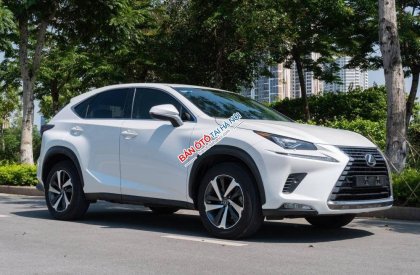 Lexus NX 300 2017 - Xe màu trắng