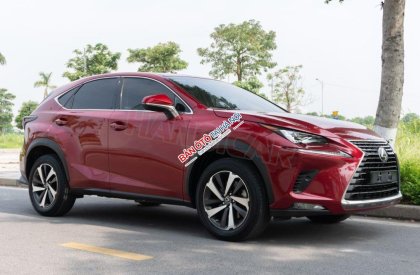 Lexus NX 300 2018 - Một chủ sử dụng từ mới