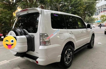 Mitsubishi Pajero 2009 - Bán xe đăng ký 2009 nhập khẩu giá 288tr