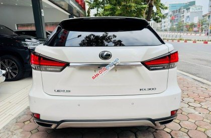 Lexus RX 300 2018 - Màu trắng, nhập khẩu