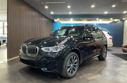 BMW X5 2023 - Giá tốt nhất tháng 3, ưu đãi tiền mặt ngay cùng vô vàn quà tặng full