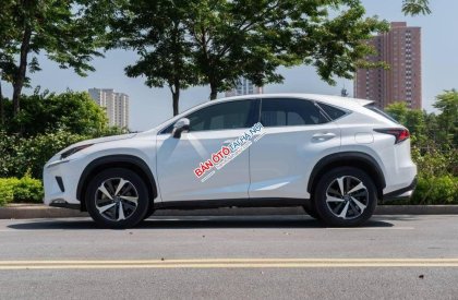 Lexus NX 300 2017 - Màu trắng, xe nhập số tự động