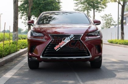 Lexus NX 300 2018 - Màu đỏ, nhập khẩu nguyên chiếc