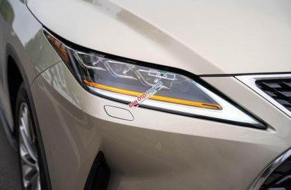 Lexus RX 450 2019 - Odo: 4,3 vạn km