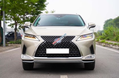 Lexus RX 450 2019 - Odo: 4,3 vạn km