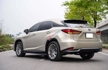 Lexus RX 450 2019 - Odo: 4,3 vạn km