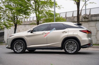 Lexus RX 450 2019 - Odo: 4,3 vạn km