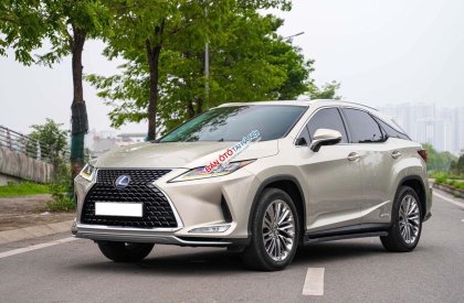 Lexus RX 450 2019 - Odo: 4,3 vạn km