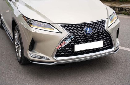 Lexus RX 450 2019 - Odo: 4,3 vạn km