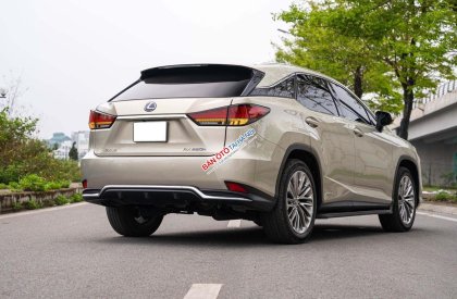 Lexus RX 450 2019 - Odo: 4,3 vạn km