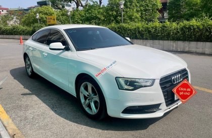 Audi A5 2015 - Xe không 1 lỗi nhỏ