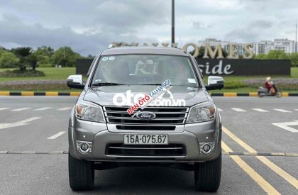 Ford Everest   2013 số tự động màu xám 2013 - Ford Everest 2013 số tự động màu xám