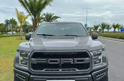 Ford F 150 Raptor 2019 - Bán ô tô Ford F 150 Raptor 2019, màu xám, nhập khẩu nguyên chiếc