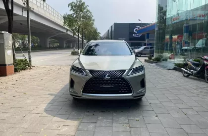 Lexus RX 300 2020 - Bán Lexus RX300, sản xuất 2020, màu Titan cực đep, xe 1 chủ.