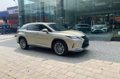 Lexus RX 300 2020 - Bán Lexus RX300, sản xuất 2020, màu Titan cực đep, xe 1 chủ.