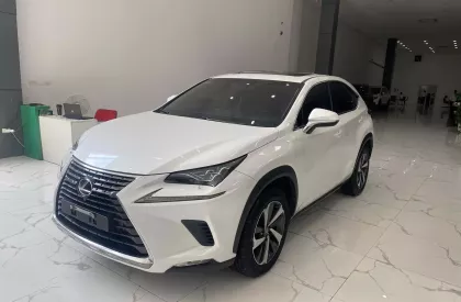 Lexus NX 300 2019 - Chính chủ bán Lexus NX300 mode 2019, sơn zin cả xe, full lịch sử hãng