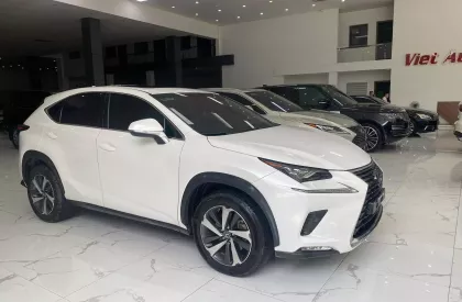 Lexus NX 300 2019 - Chính chủ bán Lexus NX300 mode 2019, sơn zin cả xe, full lịch sử hãng