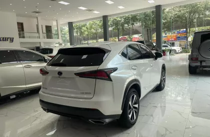 Lexus NX 300 2019 - Chính chủ bán Lexus NX300 mode 2019, sơn zin cả xe, full lịch sử hãng