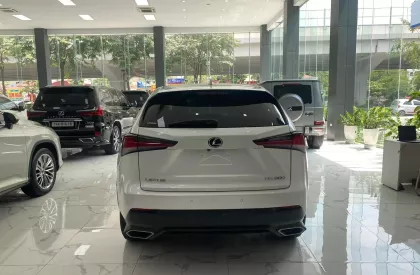 Lexus NX 300 2019 - Chính chủ bán Lexus NX300 mode 2019, sơn zin cả xe, full lịch sử hãng