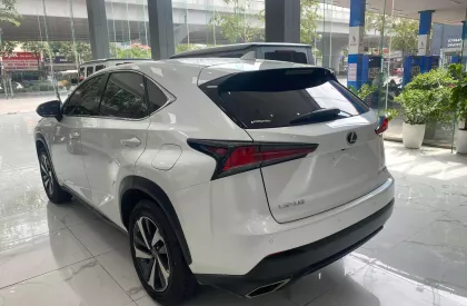 Lexus NX 300 2019 - Chính chủ bán Lexus NX300 mode 2019, sơn zin cả xe, full lịch sử hãng