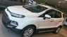 Ford EcoSport Titanium 2016 - Đại Lý Ford bán xe Ecosport Titanium mới 605tr