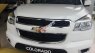 Chevrolet Colorado MT 2016 - Bán Chevrolet Colorado MT 2 cầu năm, màu trắng, nhập khẩu nguyên chiếc