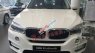 BMW X5 xDrive35i 2016 - Bán xe BMW X5 xDrive35i đời 2016, màu trắng 
