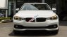 BMW 3 Series 320i 2016 - Bán xe BMW 320i năm 2016, màu trắng, nhập khẩu chính hãng