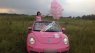 Volkswagen Beetle   2008 - Cần bán lại xe Volkswagen Beetle đời 2008, màu hồng, nhập khẩu nguyên chiếc số tự động