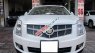 Cadillac SRX 2010 - Việt Tuấn Auto cần bán xe Cadillac SRX đời 2010, màu trắng, nhập khẩu 