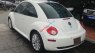 Volkswagen Beetle 2.5 2008 - Bán xe Volkswagen Beetle, màu trắng, nhập khẩu