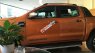 Ford Ranger wildtrack 2016 - Cần bán Ford Ranger năm 2016 màu nâu, 880 triệu, xe nhập LH: 0934.635.227