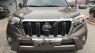 Toyota Prado TX-L 2016 - Bán xe Toyota Prado TX-L đời 2016, màu nâu, nhập khẩu chính hãng